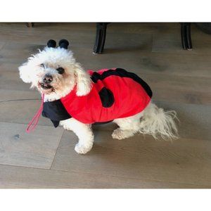 Target Ladybug Dog Costume Size Large 18 inch Halloween 2 Piece Lady Bug
